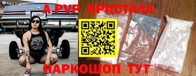 стафф Гай