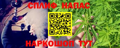 стафф Гай