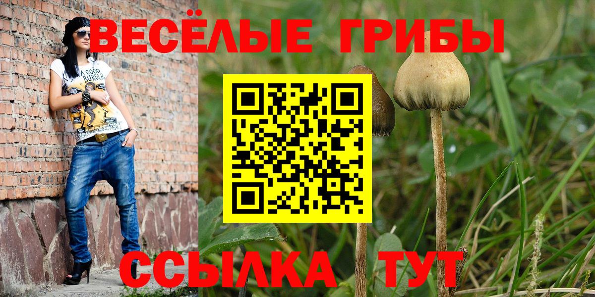 Галлюциногенные грибы мухоморы Туймазы